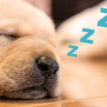 「正しい睡眠」の生活習慣でアンチエイジング（メンズ編）